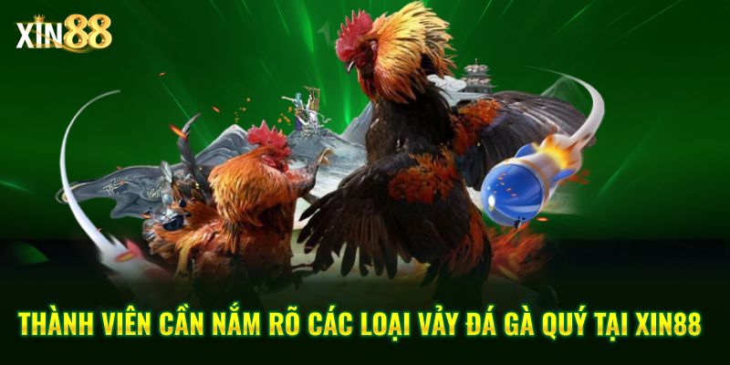 Vảy đá gà quý và kinh nghiệm chọn chiến kê chuẩn tại Xin88 2 các loại vảy đá quý 2